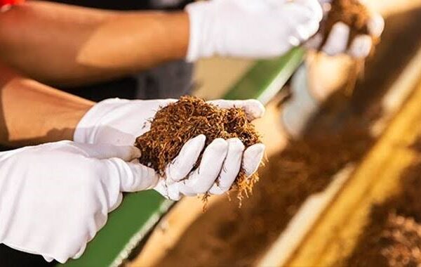 Industri Hasil Tembakau (IHT)