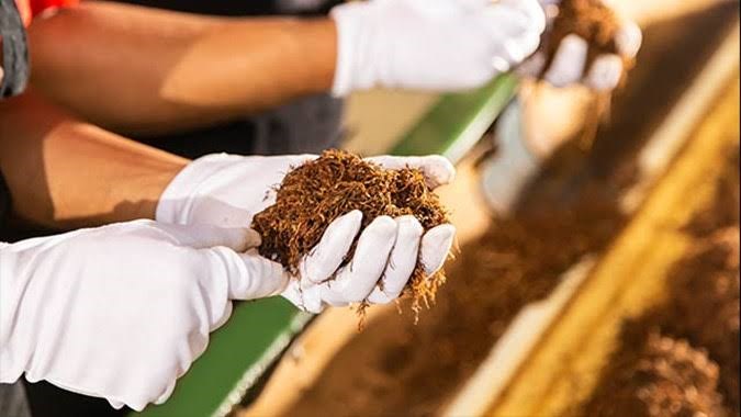 Industri Hasil Tembakau (IHT)