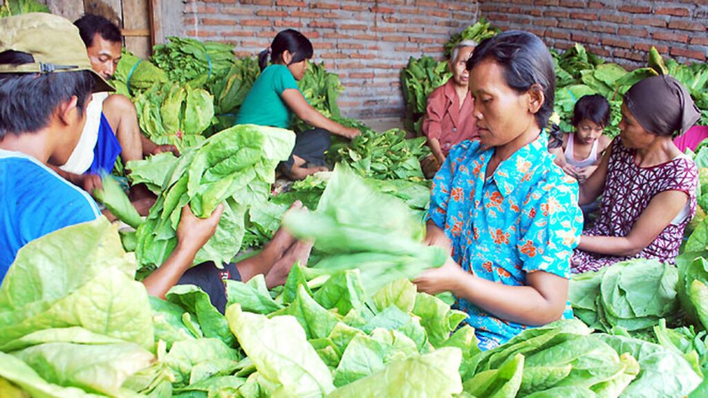 Pelerja Tembakau Deli